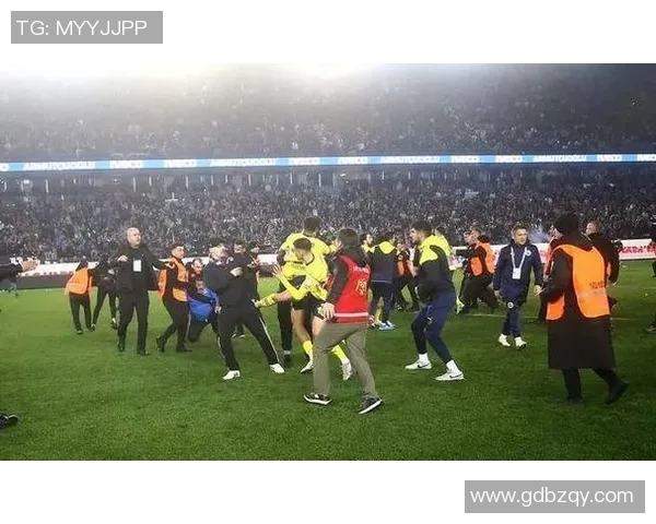 足球场上的暴力冲突引发社会关注球迷斗殴事件频发亟需加强管理与教育